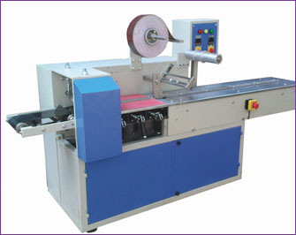 Meat & Fish Packing Machine manufacturer